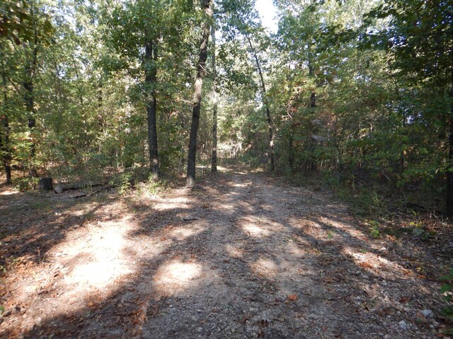 000 Old 60th Dr Unit 1, Seneca, MO 64865