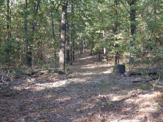 000 Old 60th Dr Unit 1, Seneca, MO 64865