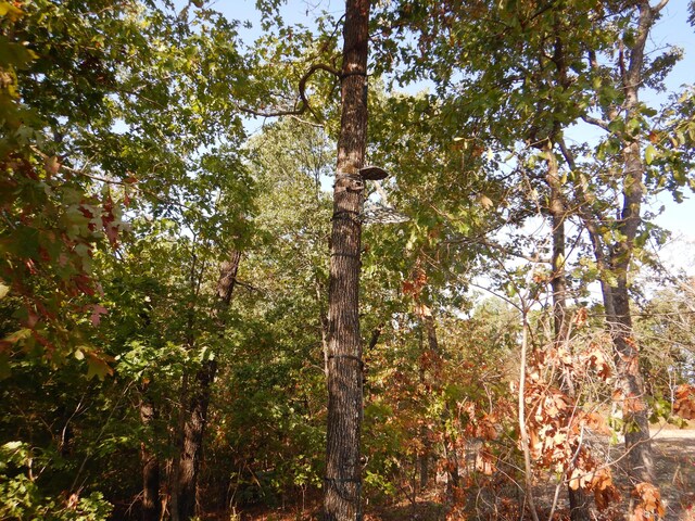 000 Old 60th Dr Unit 1, Seneca, MO 64865