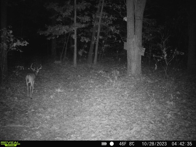 000 Old 60th Dr Unit 1, Seneca, MO 64865