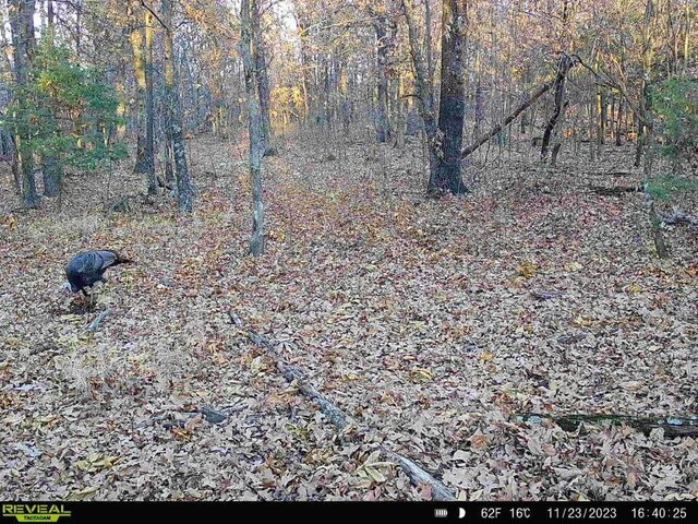 000 Old 60th Dr Unit 1, Seneca, MO 64865