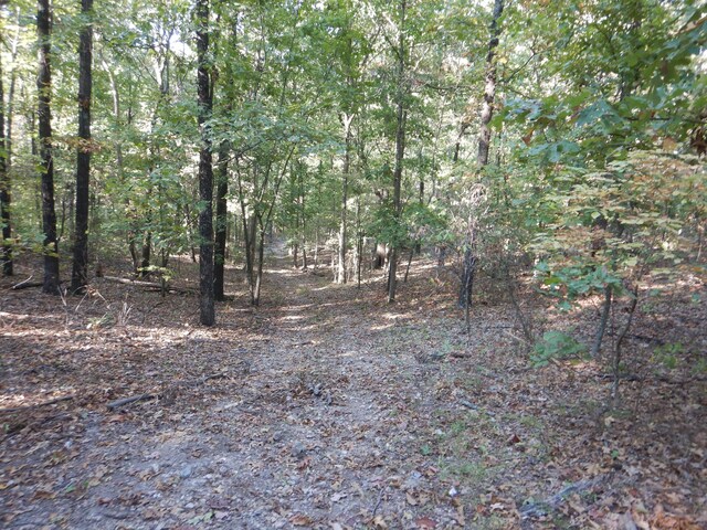 000 Old 60th Dr Unit 1, Seneca, MO 64865