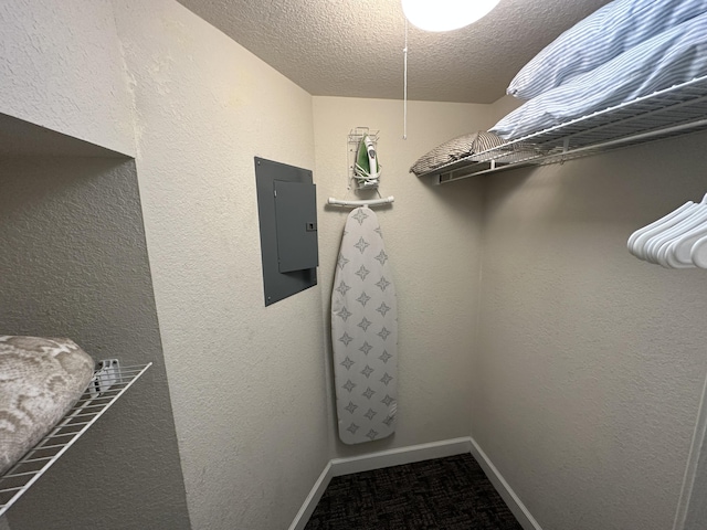 420 Fall Creek Dr Unit 6, Branson, MO 65616 - walk in closet with carpet floors and electric panel