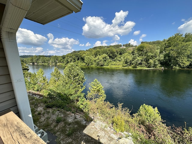 420 Fall Creek Dr Unit 6, Branson, MO 65616 - property view of water featuring a forest view