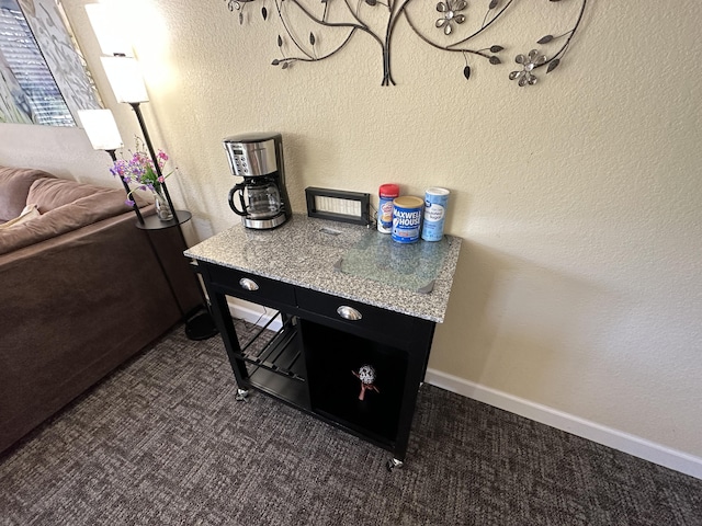 420 Fall Creek Dr Unit 6, Branson, MO 65616 - details featuring baseboards, carpet flooring, and a textured wall