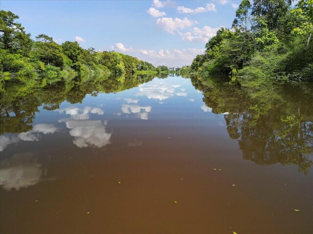 property view of water with a forest view