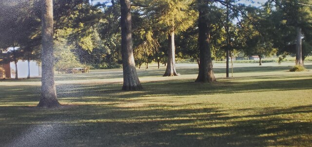 view of community with a lawn