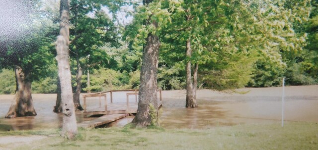 view of yard featuring a deck