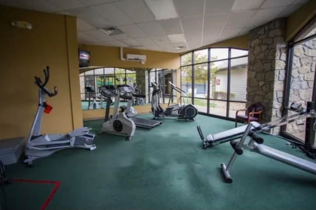 workout area with carpet floors, a drop ceiling, and a wall mounted AC