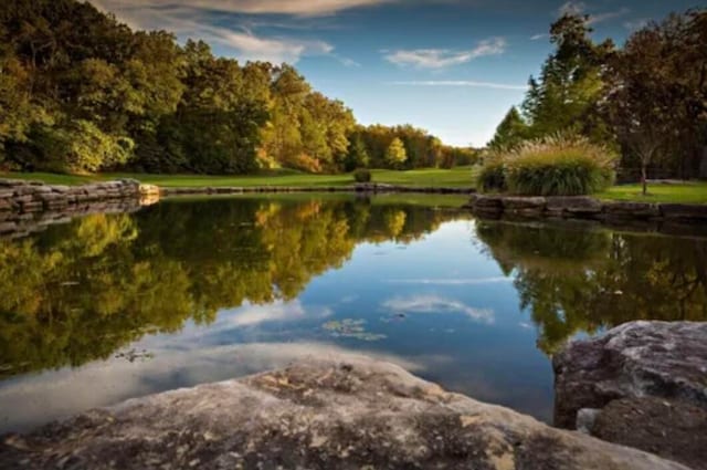 property view of water