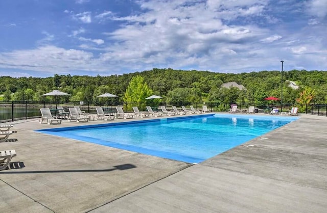 view of pool with a patio