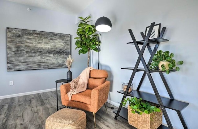 sitting room with hardwood / wood-style flooring