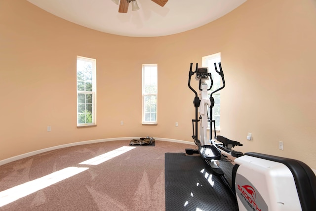 workout room with carpet floors and ceiling fan