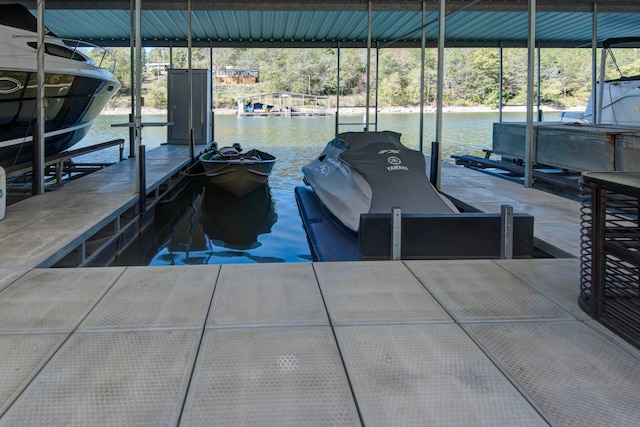 dock area with a water view