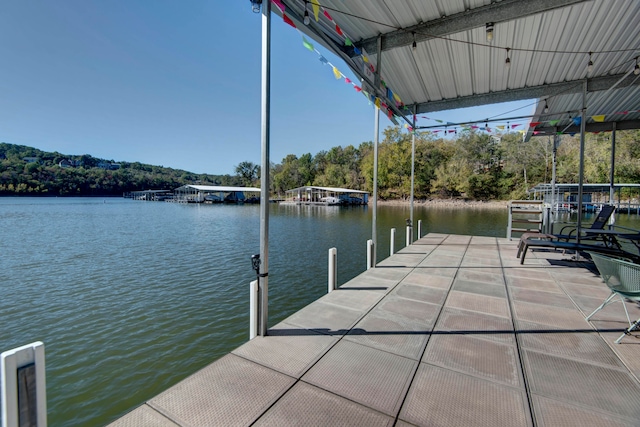 dock area with a water view