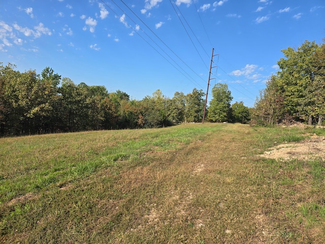 view of yard with a rural view