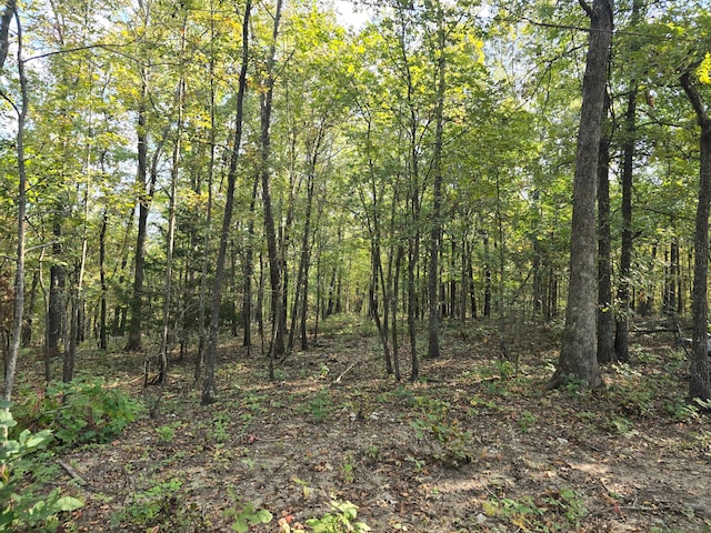 view of landscape