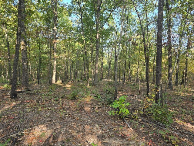 view of local wilderness