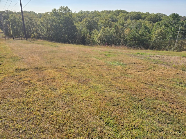 view of landscape featuring a rural view