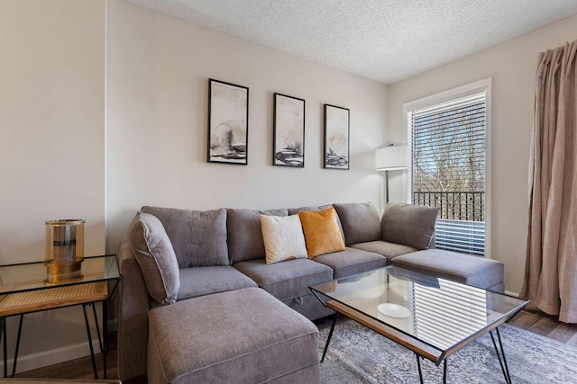 living room featuring hardwood / wood-style flooring and a textured ceiling