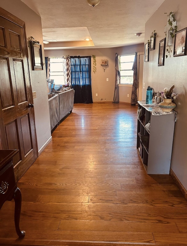 hall with hardwood / wood-style flooring and a tray ceiling