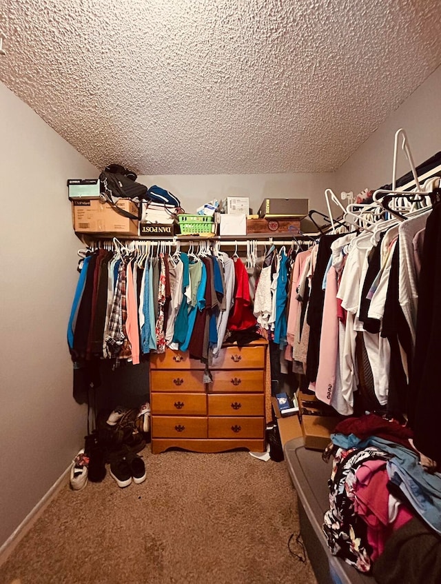 spacious closet with carpet floors