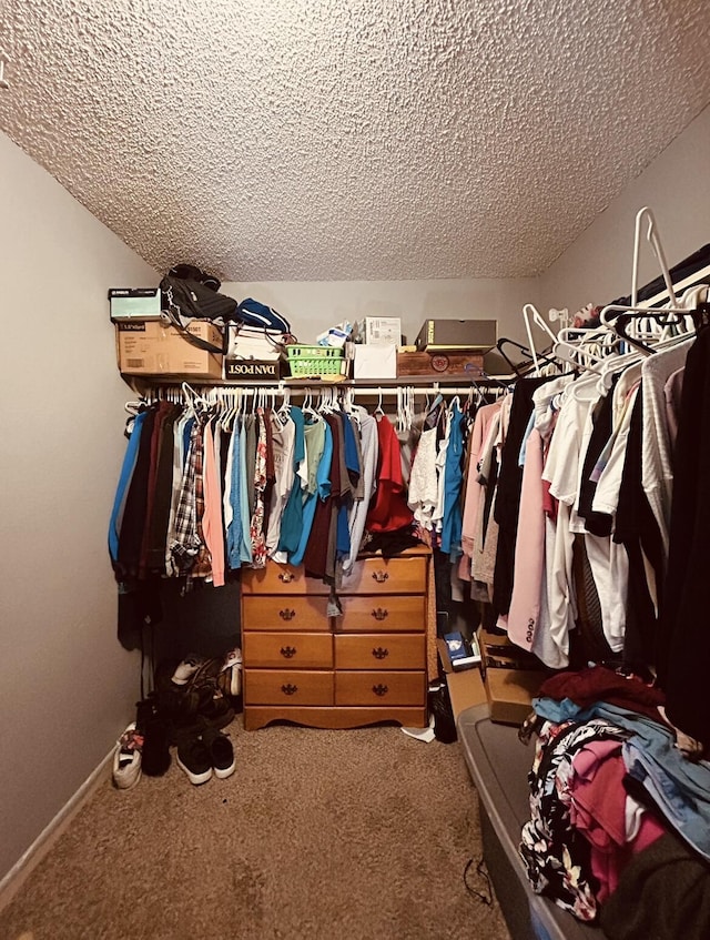 walk in closet featuring carpet floors