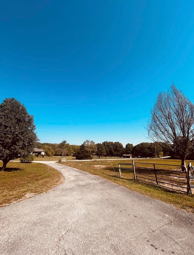 view of road with a rural view