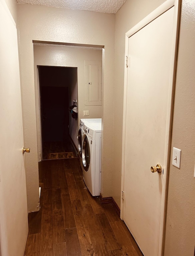 laundry room featuring washing machine and dryer, dark wood-style floors, and laundry area