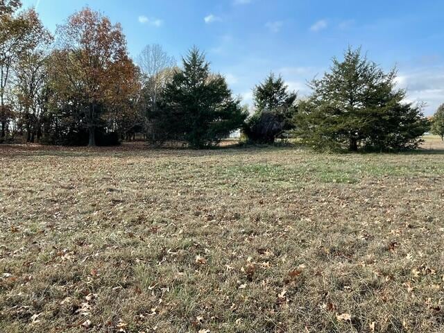 view of yard featuring a rural view