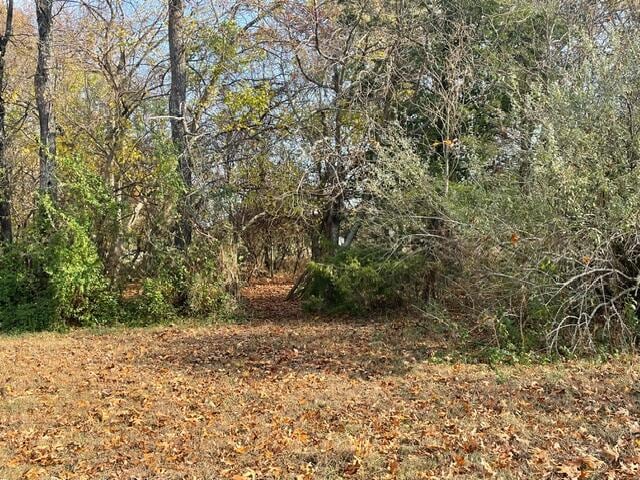 view of nature