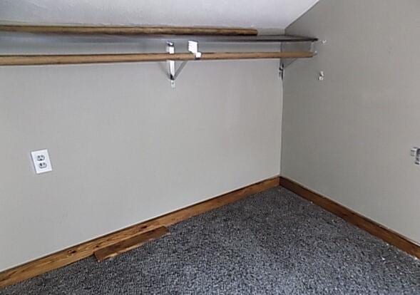 walk in closet with carpet floors and lofted ceiling