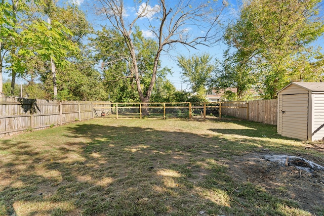 view of yard featuring a shed