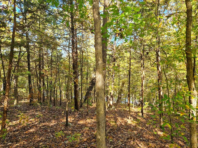 Listing photo 3 for LOT11 Newton Rd, Ridgedale MO 65739