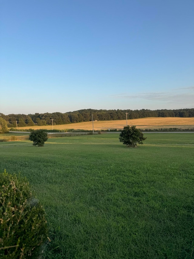 view of yard with a rural view