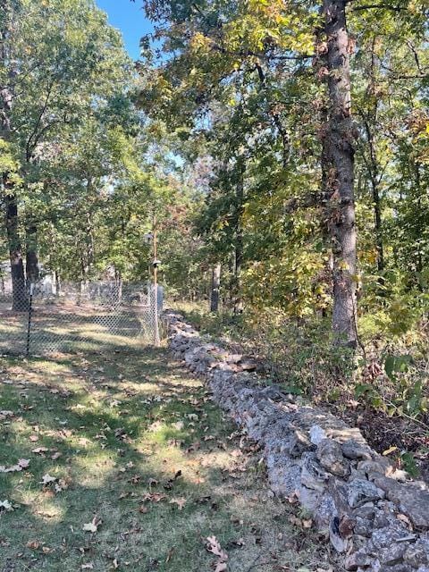 view of local wilderness