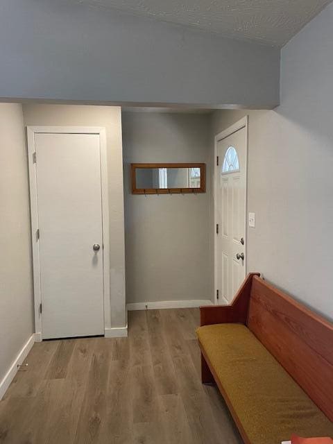 foyer featuring light hardwood / wood-style floors and a textured ceiling