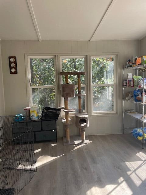 sunroom with a wealth of natural light