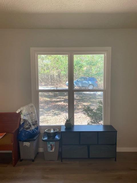 sitting room with dark hardwood / wood-style flooring and a healthy amount of sunlight