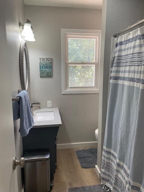 bathroom featuring wood-type flooring, a shower with shower curtain, vanity, and toilet