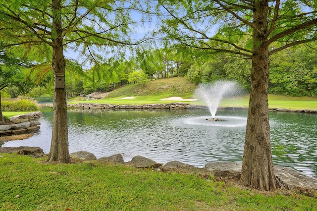 view of water feature