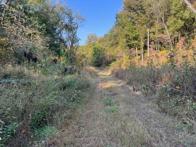 TBD Ibex Rd, Goodman MO, 64843 land for sale