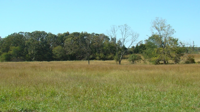 view of local wilderness with a rural view