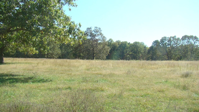 view of nature with a rural view