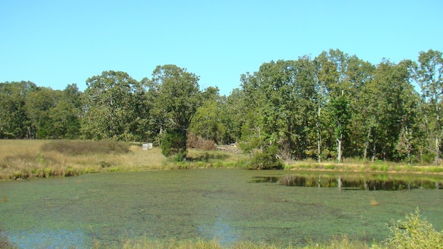 view of landscape featuring a water view