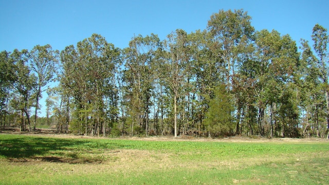 view of landscape