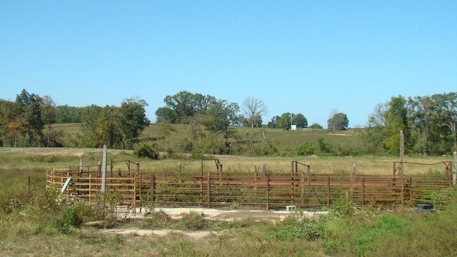 view of yard with a rural view