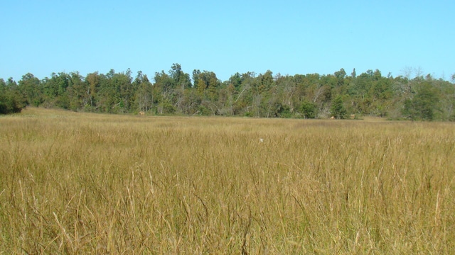 view of nature