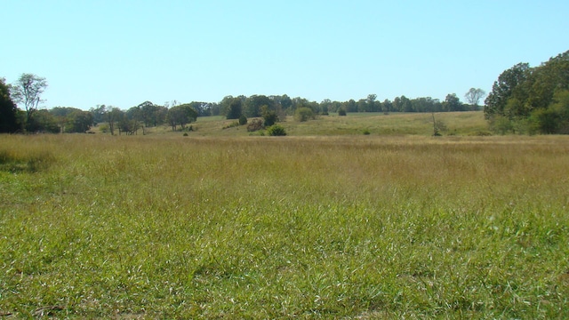 view of local wilderness featuring a rural view