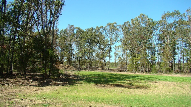 view of landscape